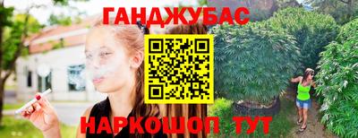 гашик Малгобек