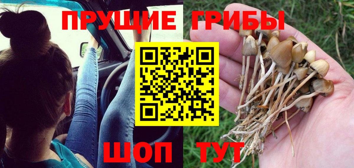 Галлюциногенные грибы ЛСД  Вход с VPN  Чехов 